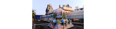 நங்கநல்லூர் (சென்னை)